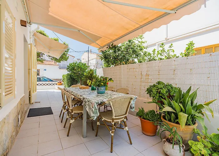 Hibiscus * Поланко