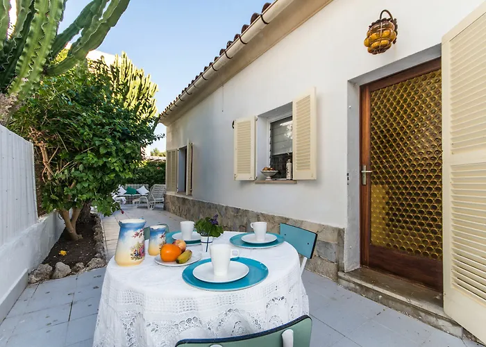 Hibiscus * Поланко