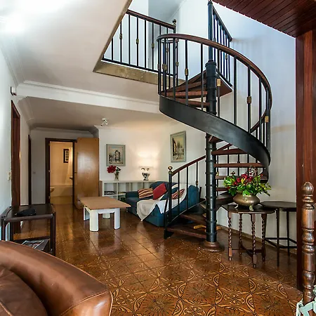 Hibiscus * Port de Pollença