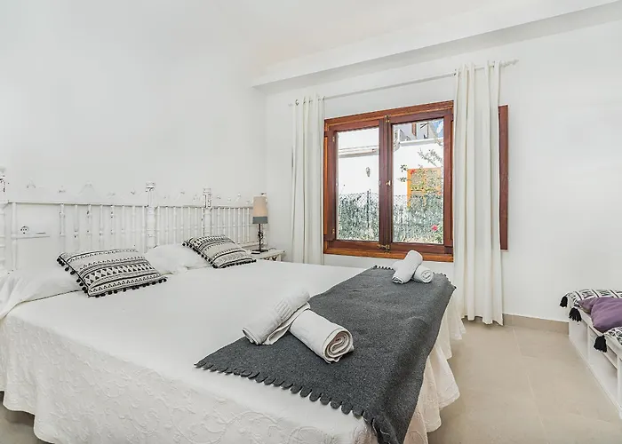 Hibiscus * Puerto Pollensa